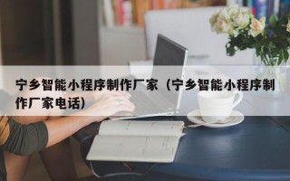 永康宁乡智能小程序制作厂家（宁乡智能小程序制作厂家电话）
