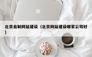 永康北京自制网站建设（北京网站建设哪家公司好）